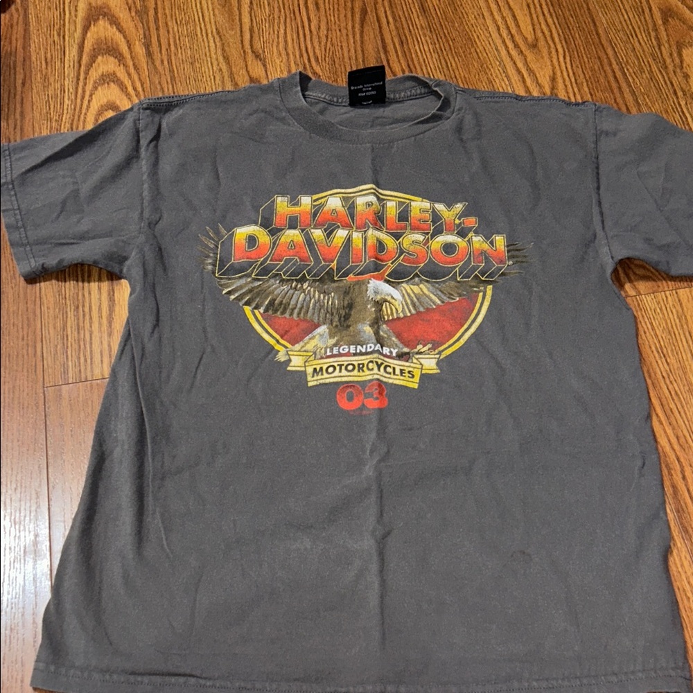 Vintage Y2K 03 Harley-Davidson Charcoal‎ Graphic Double Sided Adult Size T-shirt